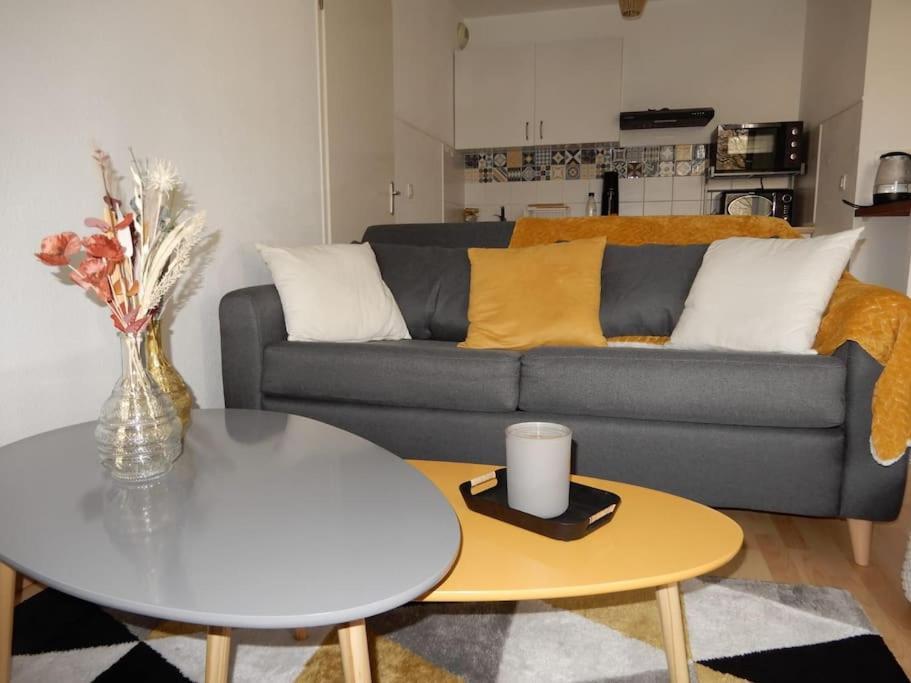 Bienvenue Au Cocon D'Alyssa Appartement Langon  Buitenkant foto